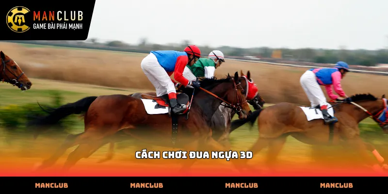 Các thành phần hiển thị trong cách chơi đua ngựa 3d